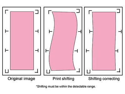 Segmental Positioning (Puma IV LX model only) RXII_Seg