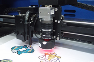 SmartVISION™ Pro CCD SmartVision04